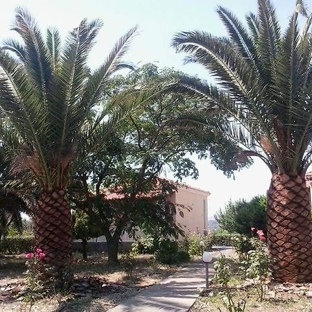 Oasis Studios Skala Kallonis Exteriér fotografie