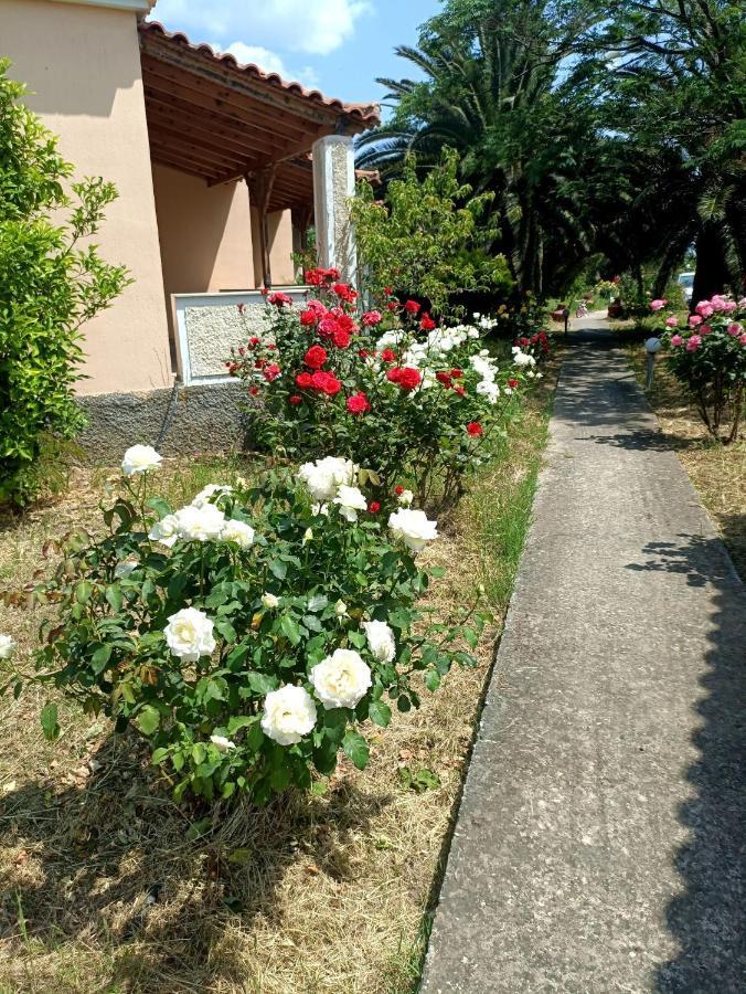 Oasis Studios Skala Kallonis Exteriér fotografie